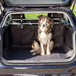 Trixie car boot cover for dogs 120x150 cm black - Black