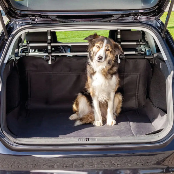 Trixie car boot cover for dogs 120x150 cm black - Black