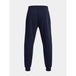 Under armor m 1379774-410 pants