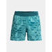 Under armor m shorts 1377002-425