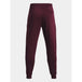 Under Armor M 1379774-600 pants - Nexellus