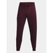 Under Armor M 1379774-600 pants - Nexellus