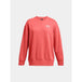 Under armor w sweatshirt 1379475-811 - S