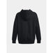 Under armor w sweatshirt 1379495-001