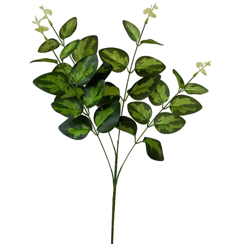 Variegated leaf spray - Single Stem Flowers