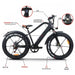 Versatile electric bike 48v 350w gravel bike electric with magnesium Nexellus