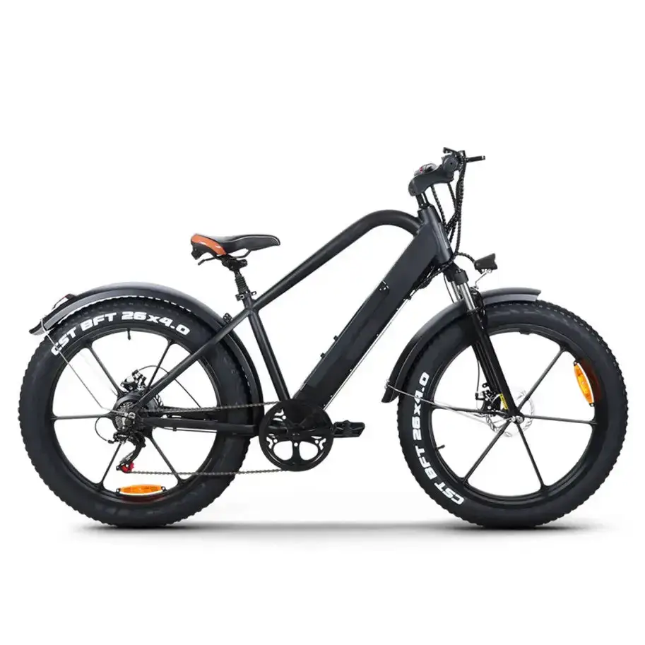 Versatile electric bike 48v 350w gravel bike electric with magnesium Nexellus