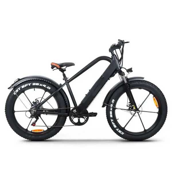 Versatile electric bike 48v 350w gravel bike electric with magnesium Nexellus