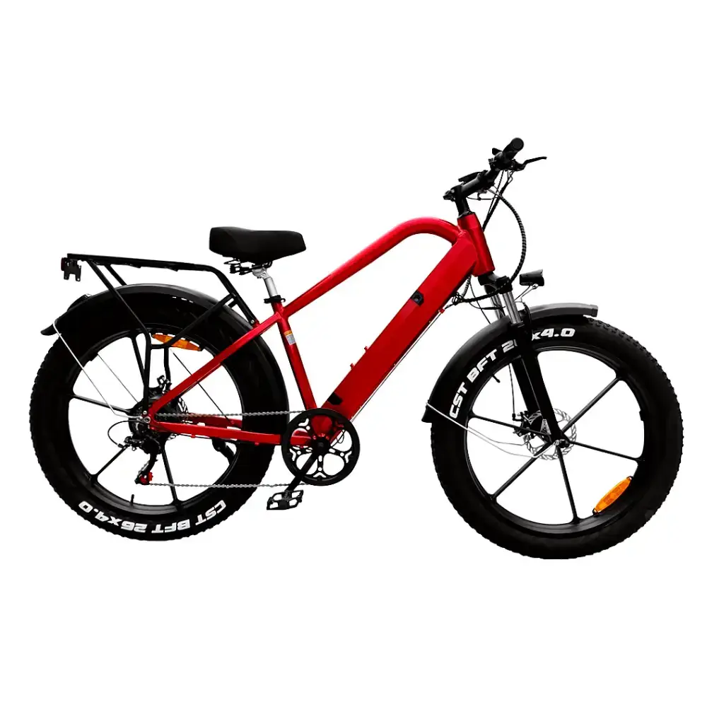 Versatile electric bike 48v 350w gravel bike electric with magnesium Nexellus