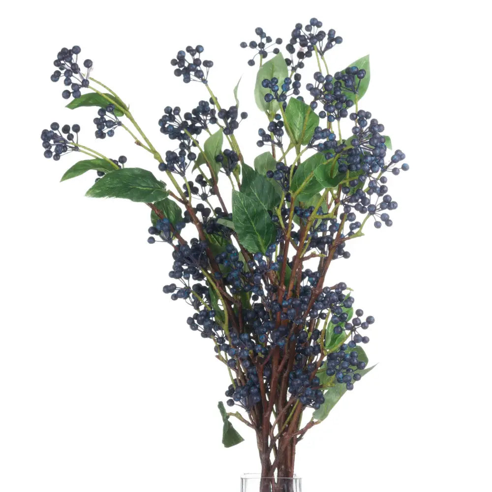 Viburnum berry - Spring Stems