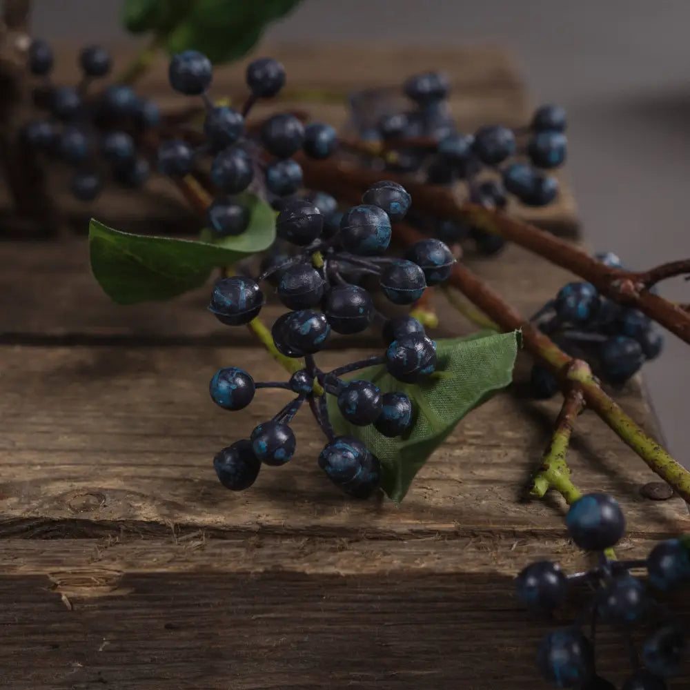 Viburnum berry - Spring Stems