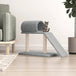 Vidaxl cat scratching posts with tunnel and ladder light