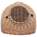 Vidaxl cat transporter 45x35x35 cm natural willow - Brown