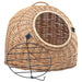 Vidaxl cat transporter 50x42x40 cm natural willow - Brown