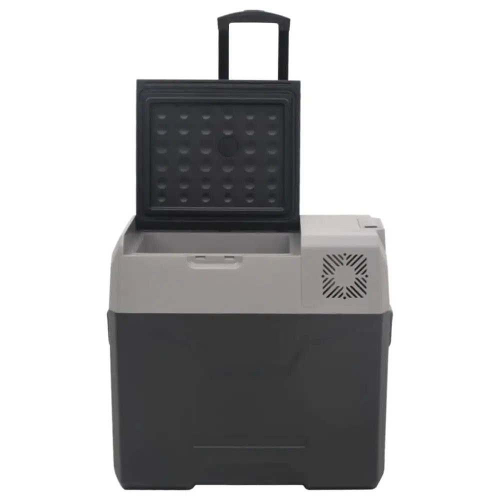 Vidaxl cool box with wheel and adapter black&grey 50 l