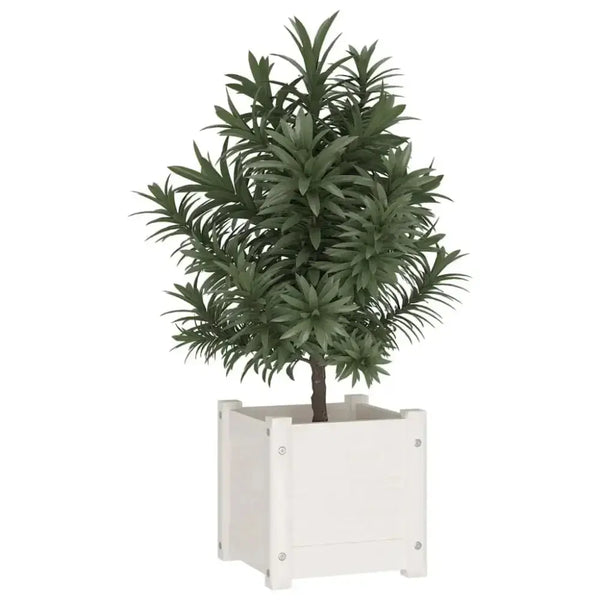 Vidaxl garden planters 2 pcs white 31x31x31 cm solid pinewood Nexellus