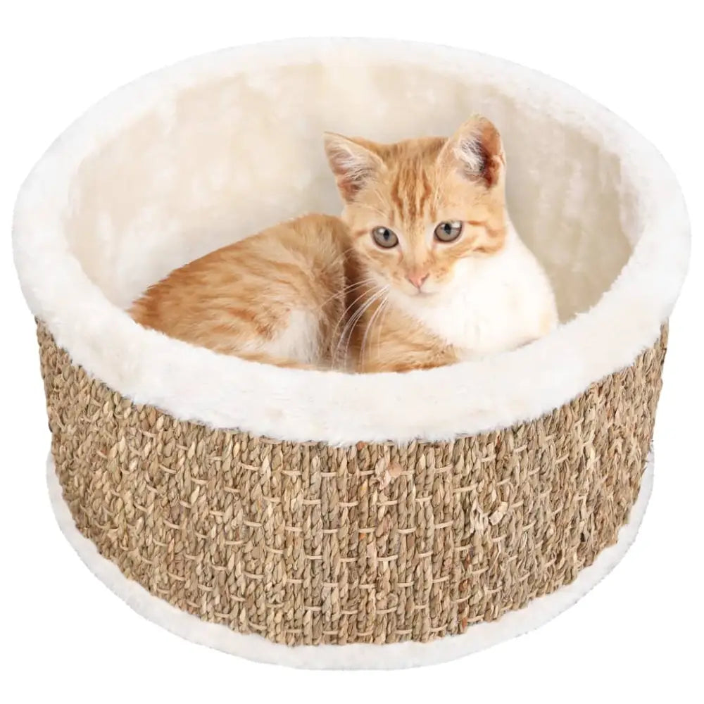 Vidaxl round cat basket 36 cm seagrass - Beige