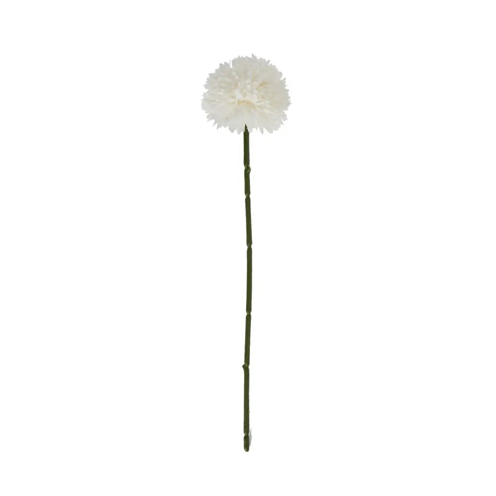 White chrysanthemum - Autumn Stems