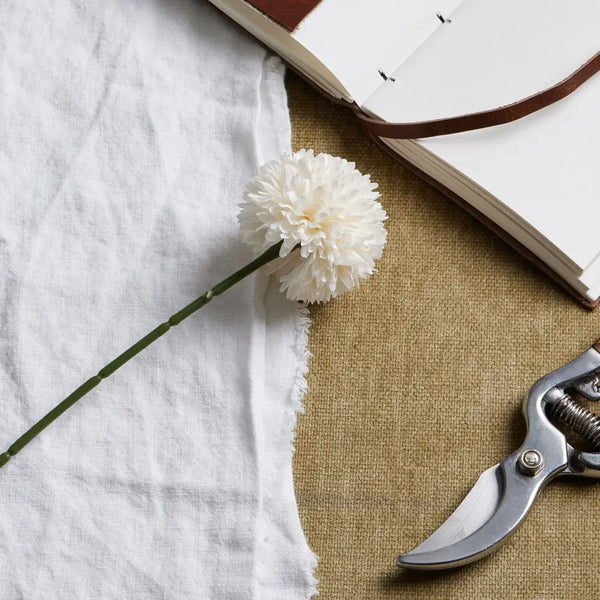 White chrysanthemum - Autumn Stems