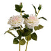 White garden rose spray - Single Stem Flowers