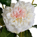 White garden rose spray - Single Stem Flowers