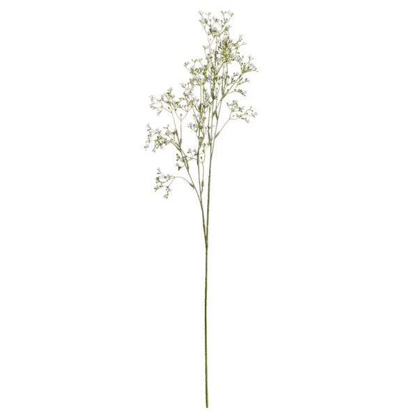 White gypsophila spray - Spring Stems