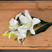 White lily - Single Stem Flowers