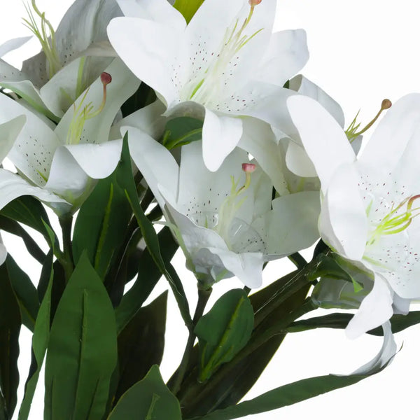 White lily - Single Stem Flowers