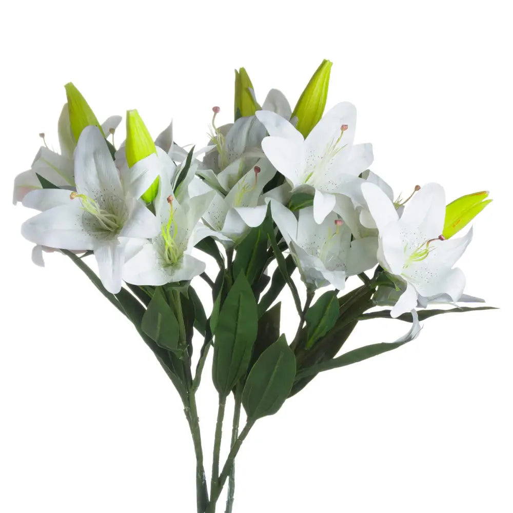 White lily - Single Stem Flowers