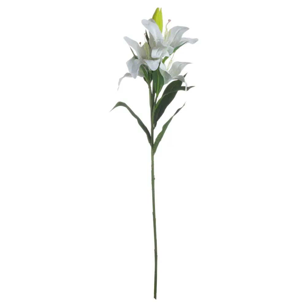 White lily - Single Stem Flowers