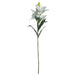 White lily - Single Stem Flowers