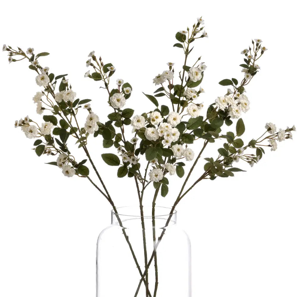 White wild meadow rose - Single Stem Flowers