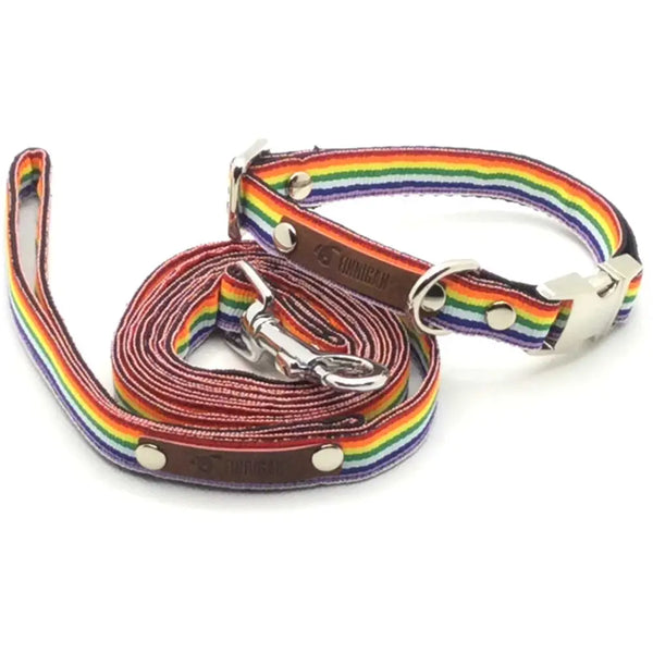 Wholesale love is love! Large - Collar & Lead Set