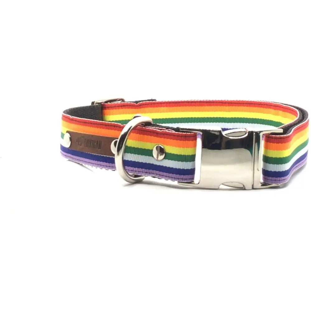 Wholesale love is love! Large - Collar Only